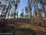 58+/- AC Barrons Bridge Rd - Photo 10