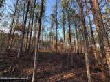 58+/- AC Barrons Bridge Rd - Photo 11