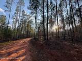 58+/- AC Barrons Bridge Rd - Photo 13