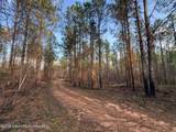 58+/- AC Barrons Bridge Rd - Photo 17