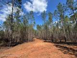 58+/- AC Barrons Bridge Rd - Photo 3