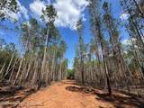 58+/- AC Barrons Bridge Rd - Photo 4