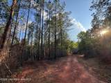 58+/- AC Barrons Bridge Rd - Photo 9