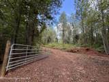 70+/- AC Pleasant Rd - Photo 2