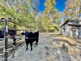 407 Thompson Rd - Photo 25