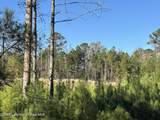 Lot 1 Lakeview Ridge Cir - Photo 12