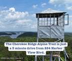 284 Harbor View Blvd - Photo 50