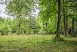 1485 Scott Rd - Photo 51