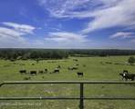 1447 County Road 24 - Photo 43