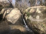 +/- 81 Acres - Photo 10
