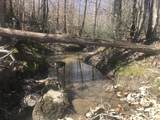  +/- 81 Acres - Photo 11