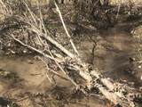  +/- 81 Acres - Photo 12