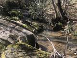  +/- 81 Acres - Photo 14
