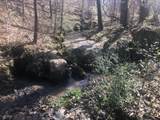  +/- 81 Acres - Photo 18
