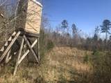  +/- 81 Acres - Photo 19