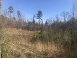  +/- 81 Acres - Photo 20