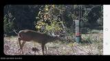  +/- 81 Acres - Photo 5