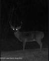  +/- 81 Acres - Photo 6