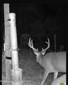  +/- 81 Acres - Photo 8
