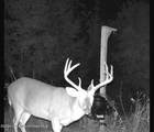  +/- 81 Acres - Photo 9
