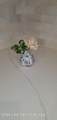 620 Shoreline Dr - Photo 17