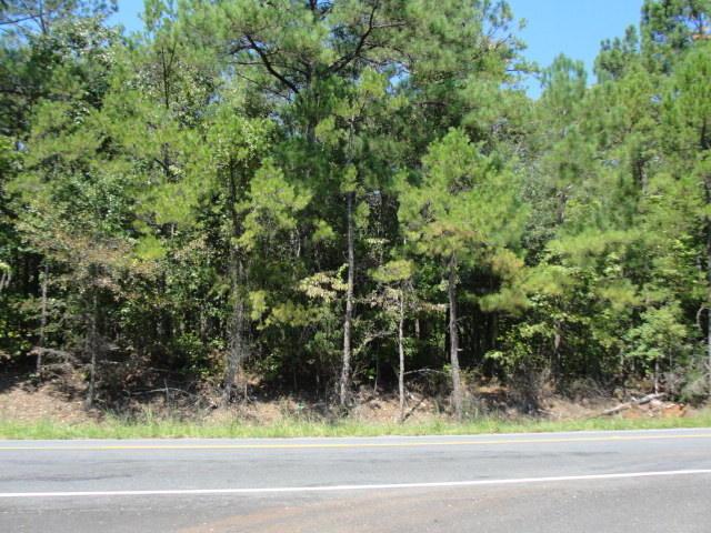 3949 Hwy 50 - Photo 1