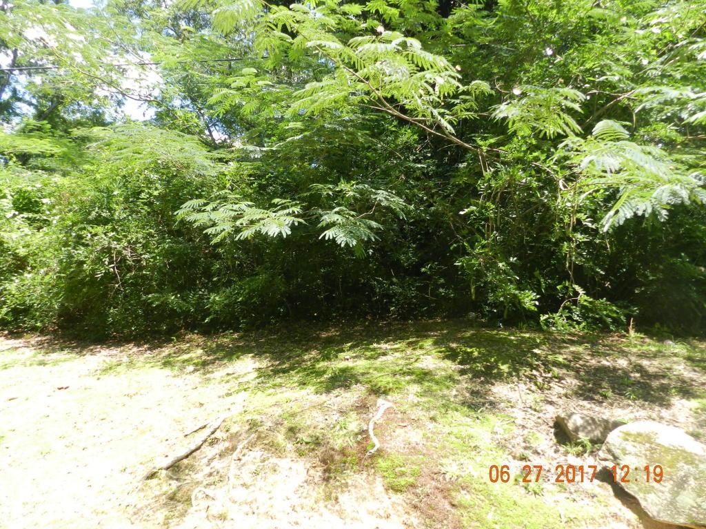 E - Photo 1