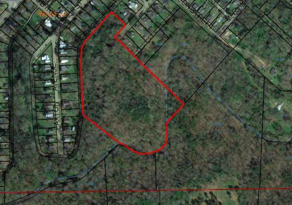 Lot 12 Acres Dorman - Photo 1