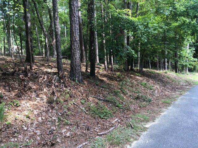 lot 65 Beach Island Trace - Photo 1
