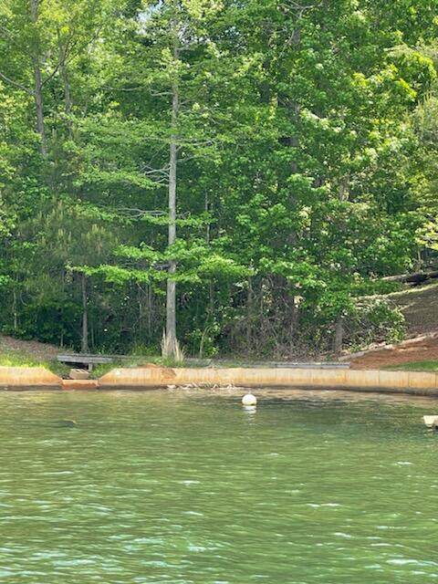 Lot 24 Paces Way - Photo 1