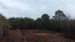 County Road 393 - Photo 1