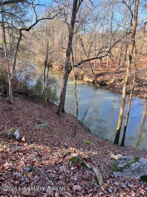 https://bt-photos.global.ssl.fastly.net/lakemartin/orig_boomver_1_24-1305-2.jpg