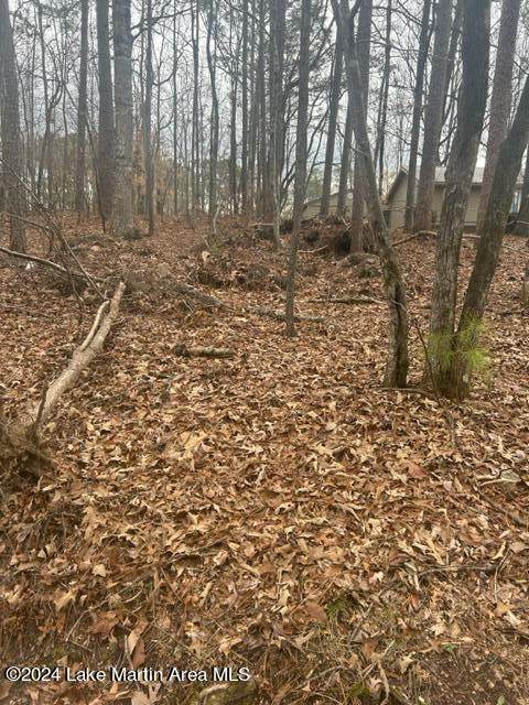 25 Lot 25 Bent Hickory Lane - Photo 1