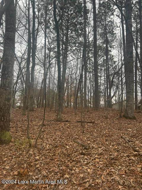 https://bt-photos.global.ssl.fastly.net/lakemartin/orig_boomver_1_24-149-2.jpg
