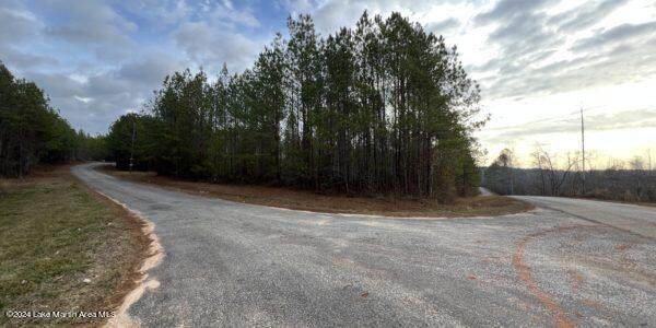 24+/- Pleasant Rd - Photo 1