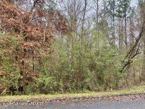 https://bt-photos.global.ssl.fastly.net/lakemartin/orig_boomver_1_25-1526-2.jpg