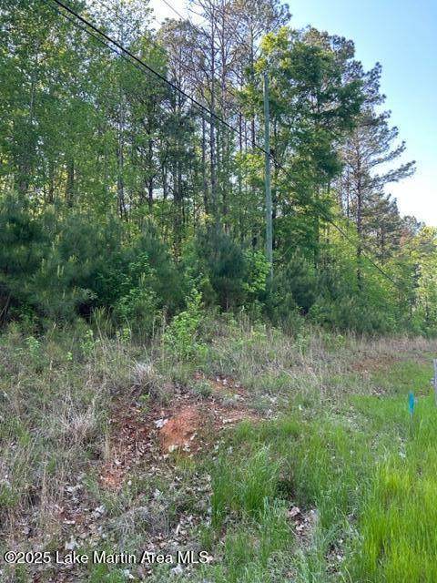 https://bt-photos.global.ssl.fastly.net/lakemartin/orig_boomver_1_25-1594-2.jpg