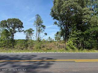  30+/- Acres On Hamlet Mill Rd - Photo 1