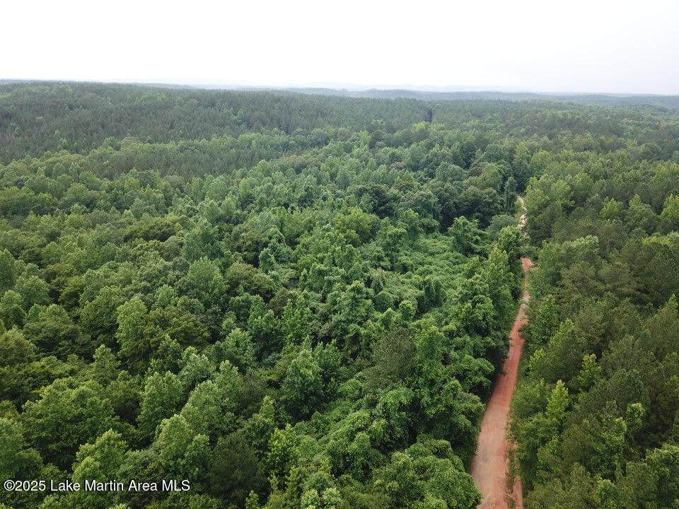 16+/-AC County Rd 111 - Photo 1