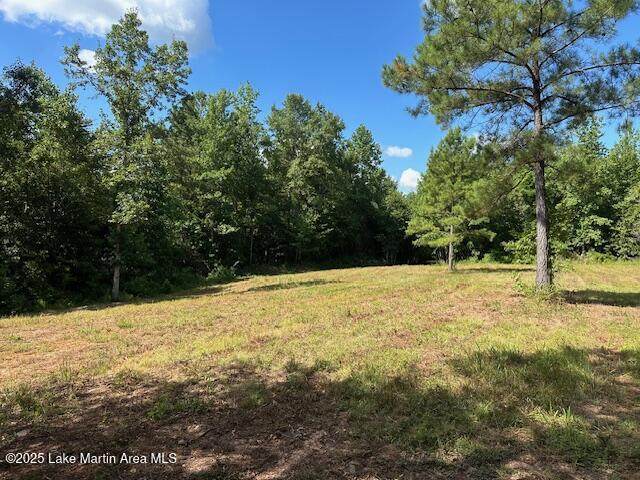 0 Edgeview Drive - Photo 1
