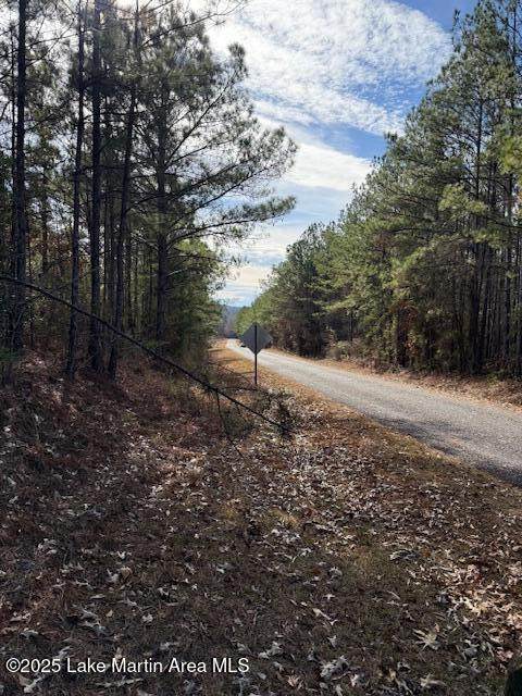 79 Wildlife Rd - Photo 1