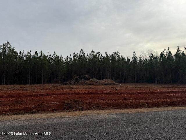 181 Wildlife Rd - Photo 1