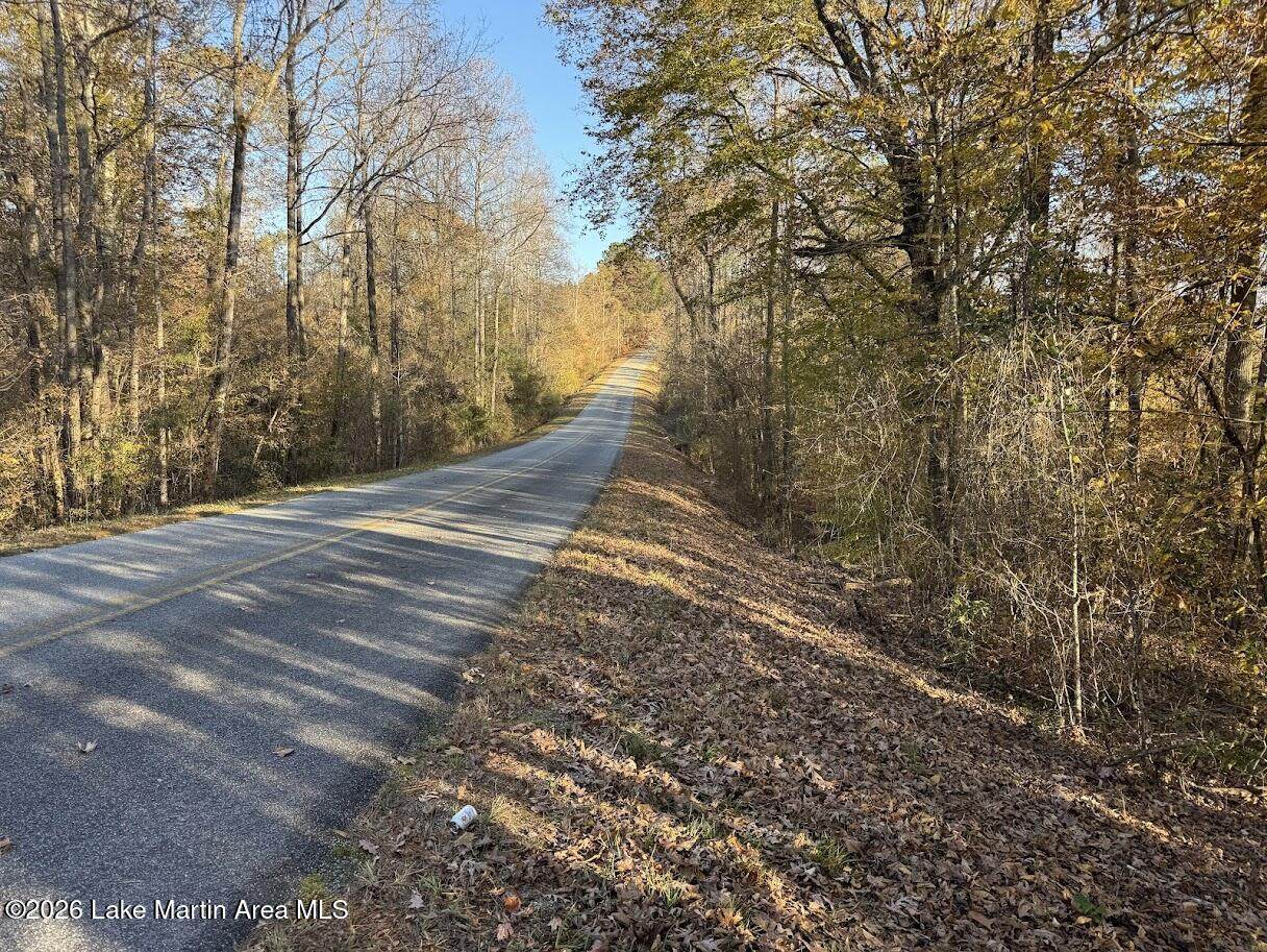  Lot #1 Germany' S Ferry Rd - Photo 1