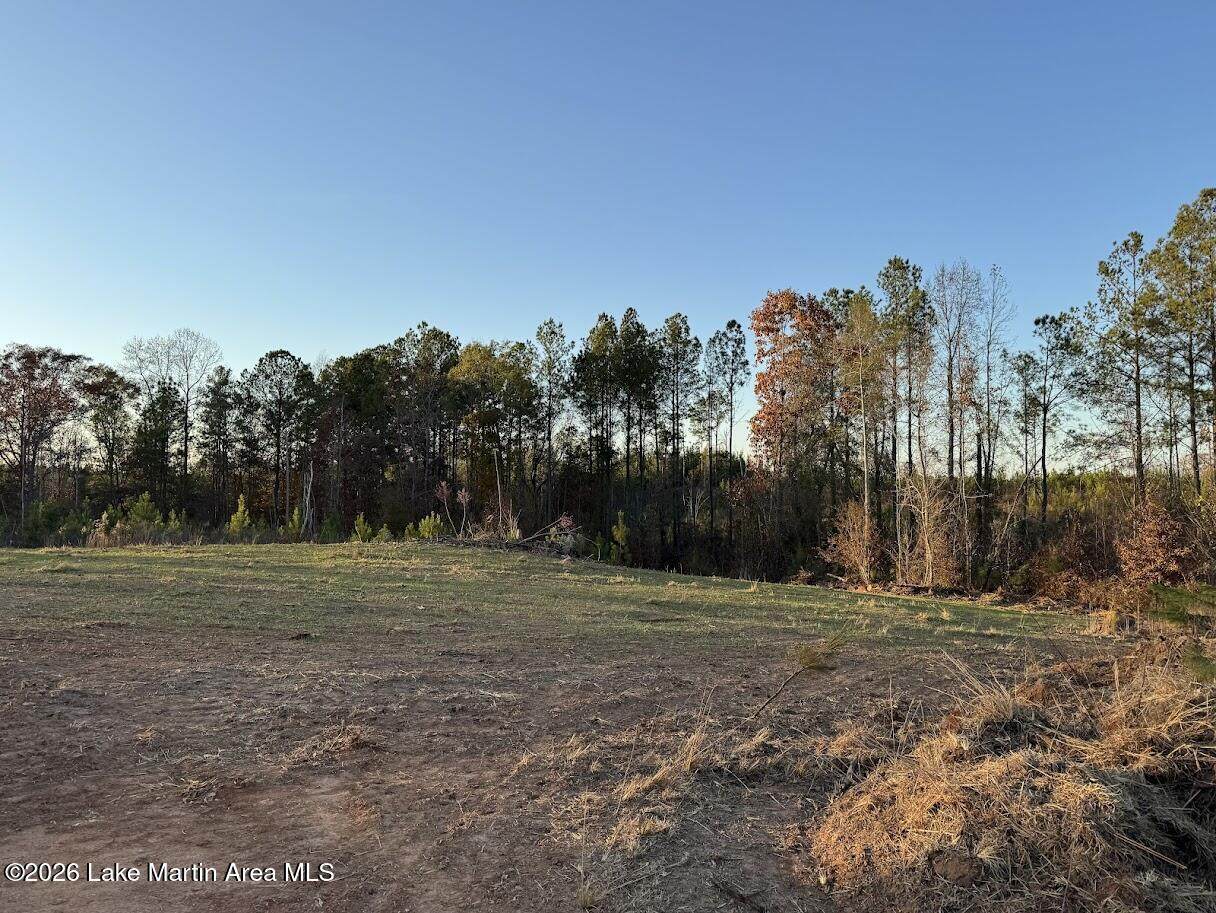  Lot #2 Germany's Ferry Rd - Photo 1