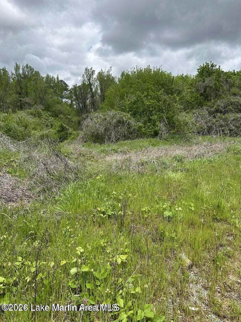 8 Acres Highway 22 - Photo 1
