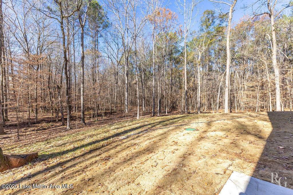 https://bt-photos.global.ssl.fastly.net/lakemartin/orig_boomver_1_26-544-2.jpg