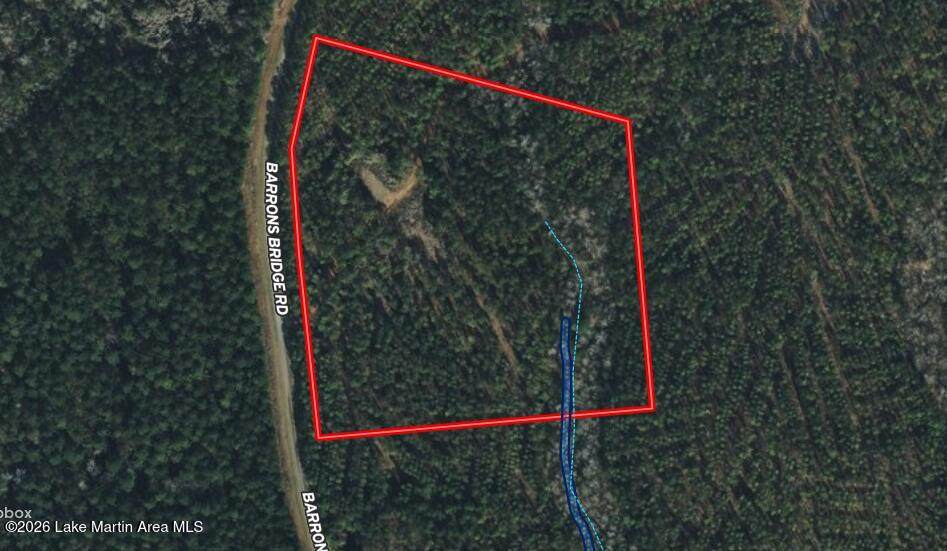 16+/- AC Barrons Bridge Rd - Photo 1