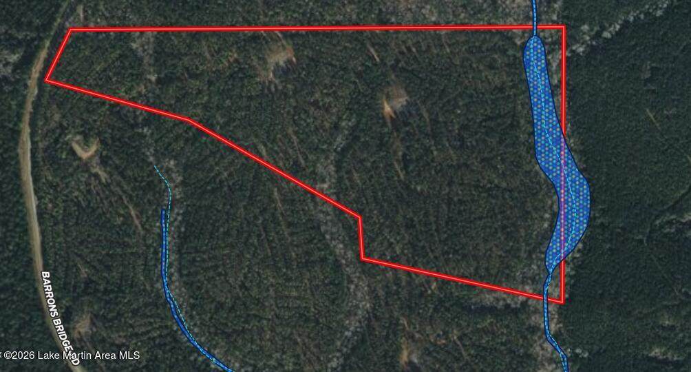 58+/- AC Barrons Bridge Rd - Photo 1