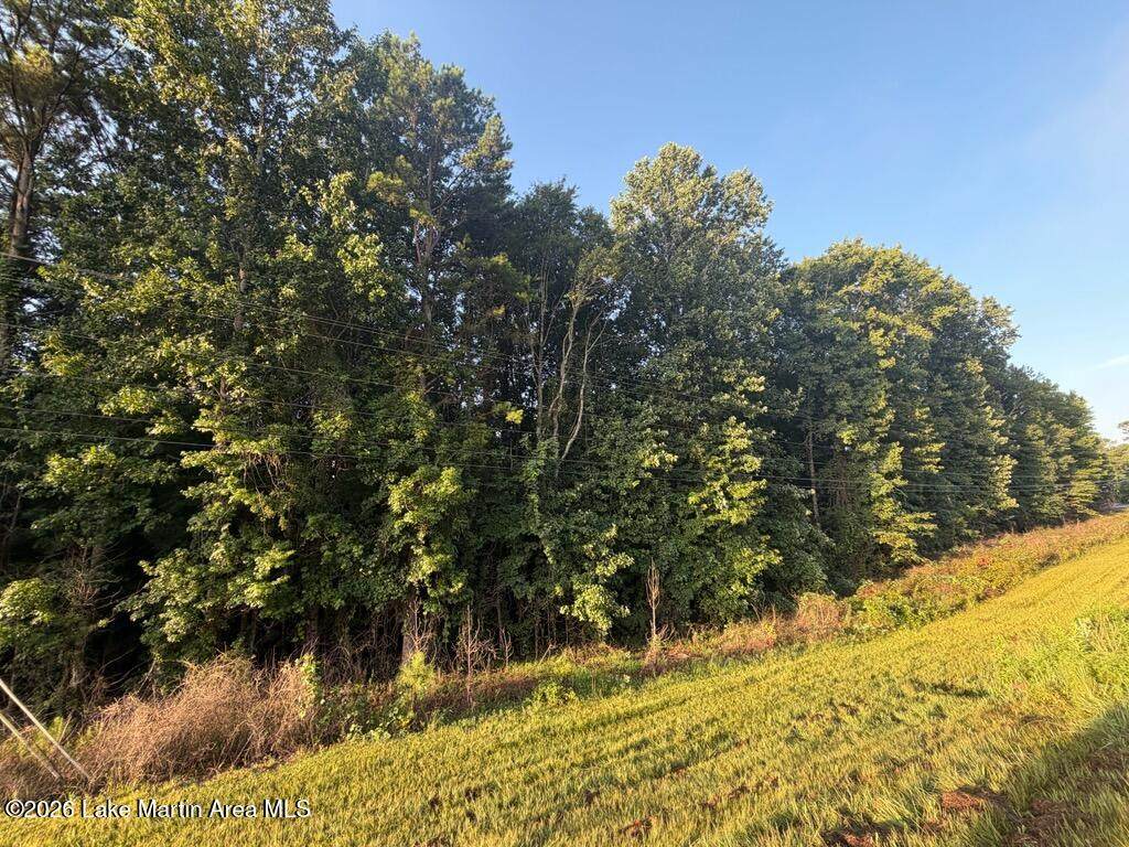 https://bt-photos.global.ssl.fastly.net/lakemartin/1280_boomver_1_26-957-2.jpg