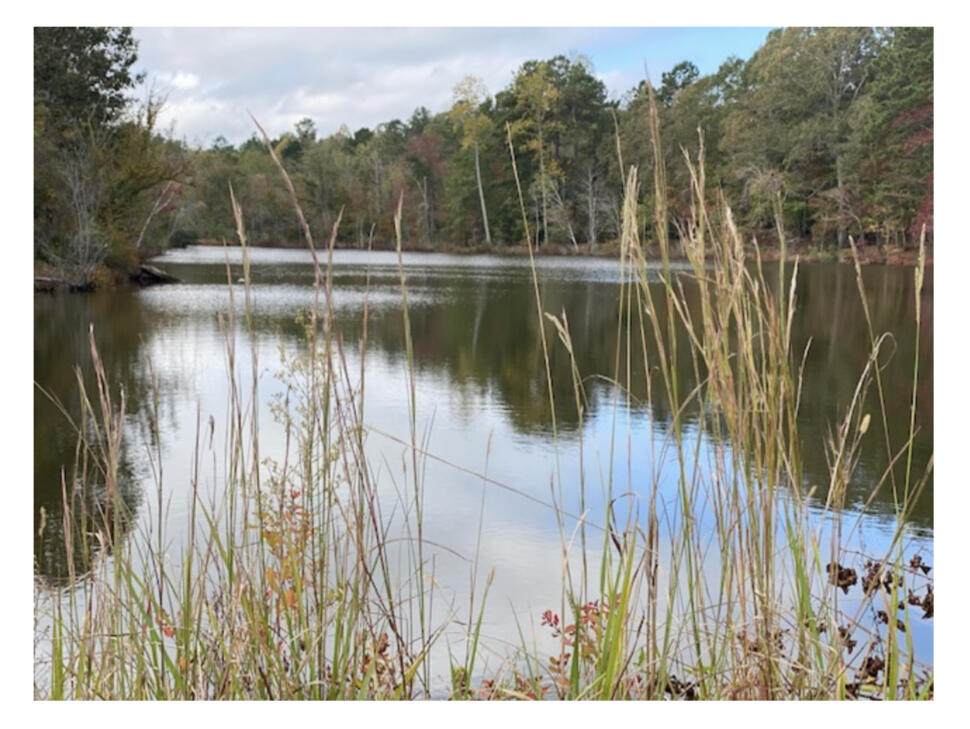 Lot 1 Delta Ln - Photo 1